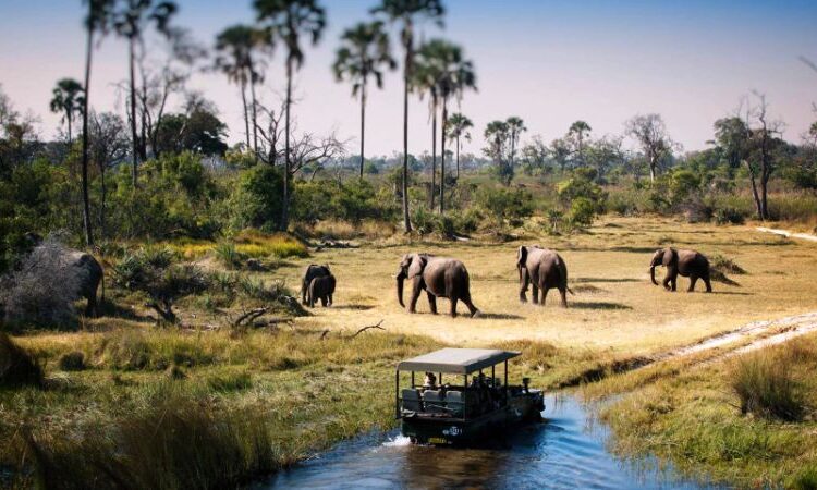 13 Days in Tanzania Safari