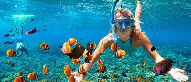The Best Time For Diving And Snorkeling In Zanzibar